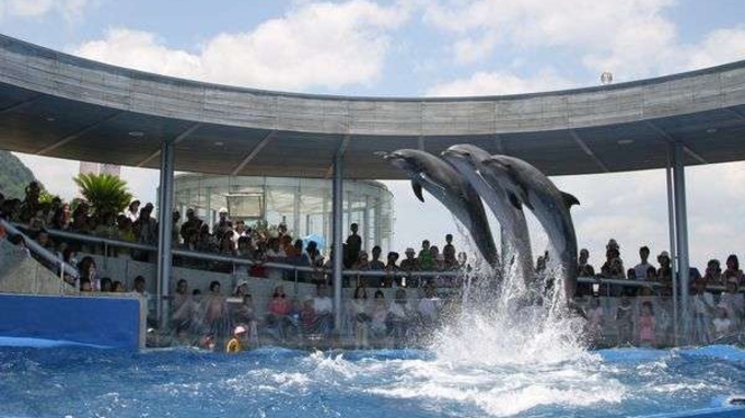 【食事処】　人気水族館「うみたまご」入場券付　よくばりプラン